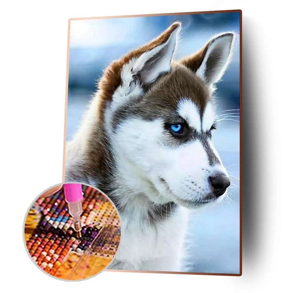 Beautiful Dog Husky | Diamond Painting