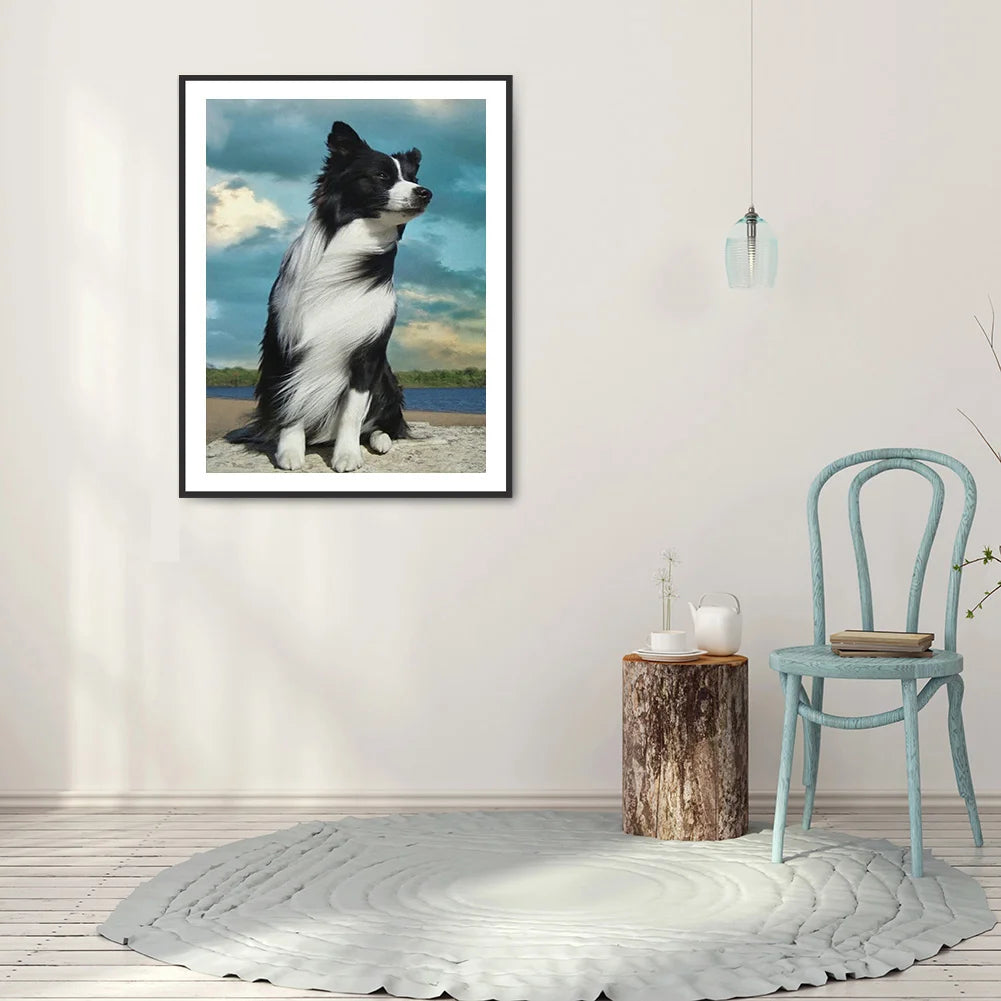 Dog Border Collie | Diamond Painting