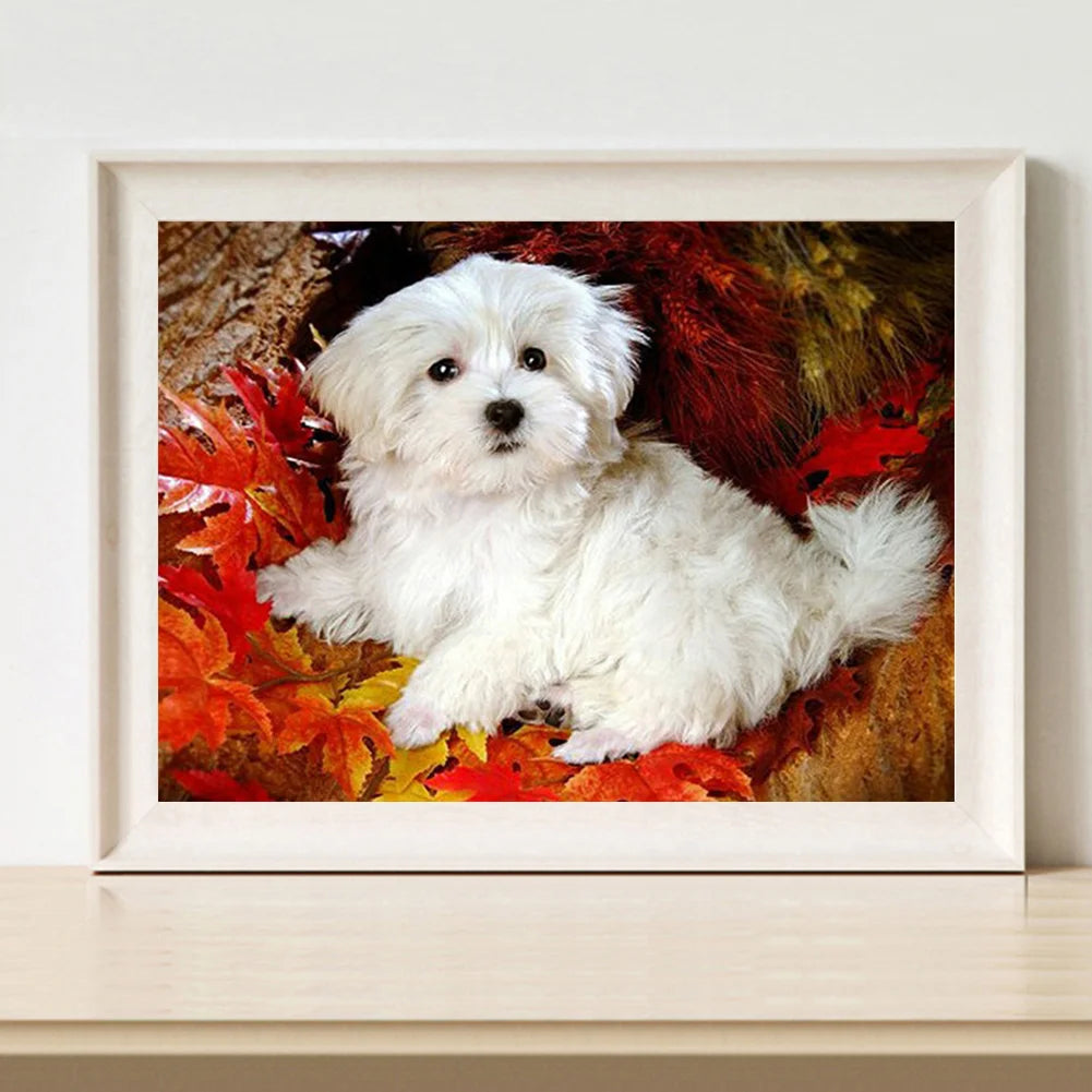 Cute Dog Shih Tzu | Diamond Painting