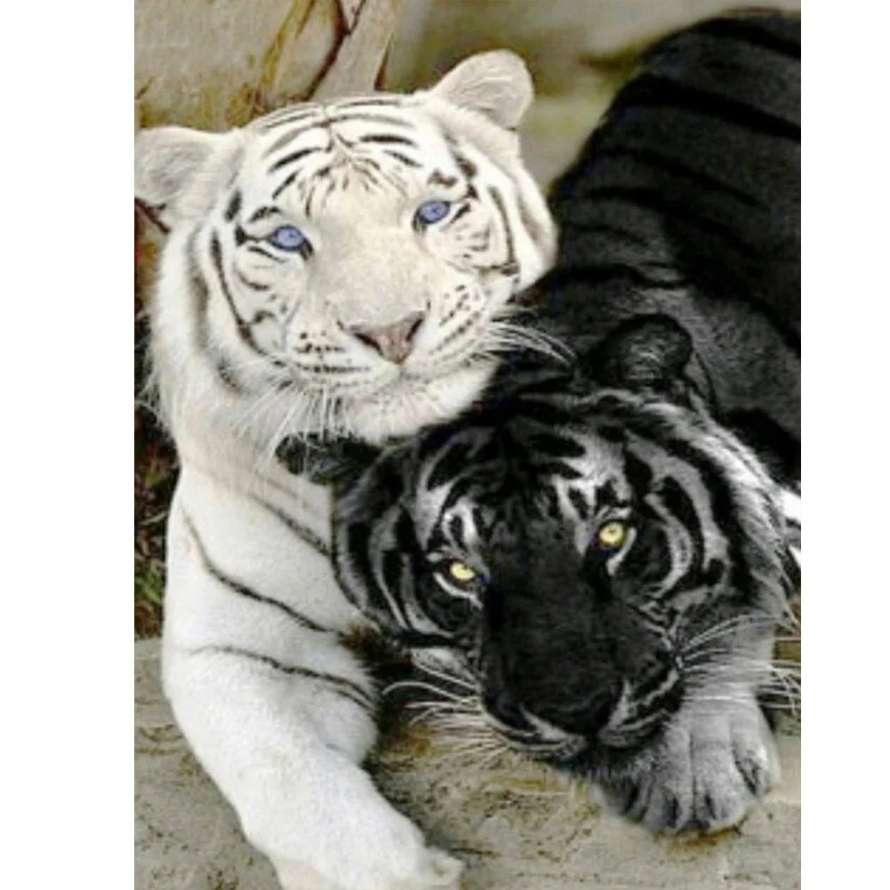 White Tiger | Diamond Painting