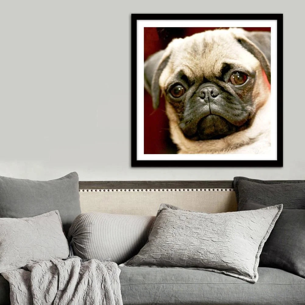 Angry Dog Pug | Diamond Painting