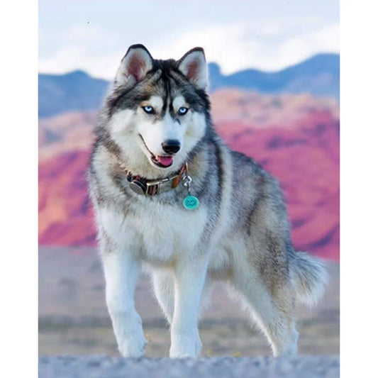 Animal Wolf | Diamond Painting
