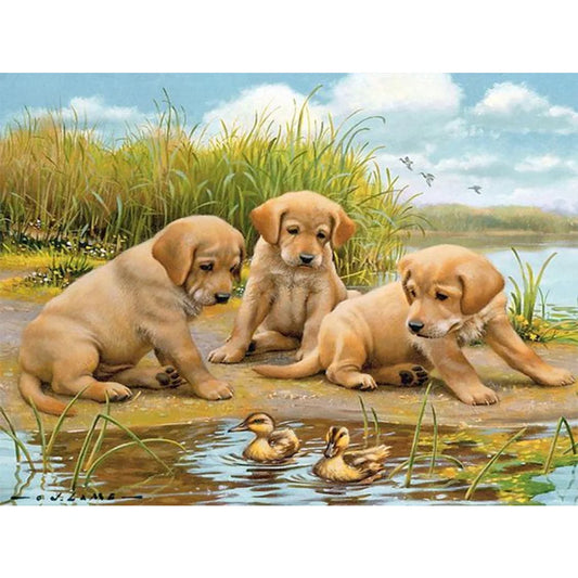 Yellow Labrador Dog By The River | Diamond Painting