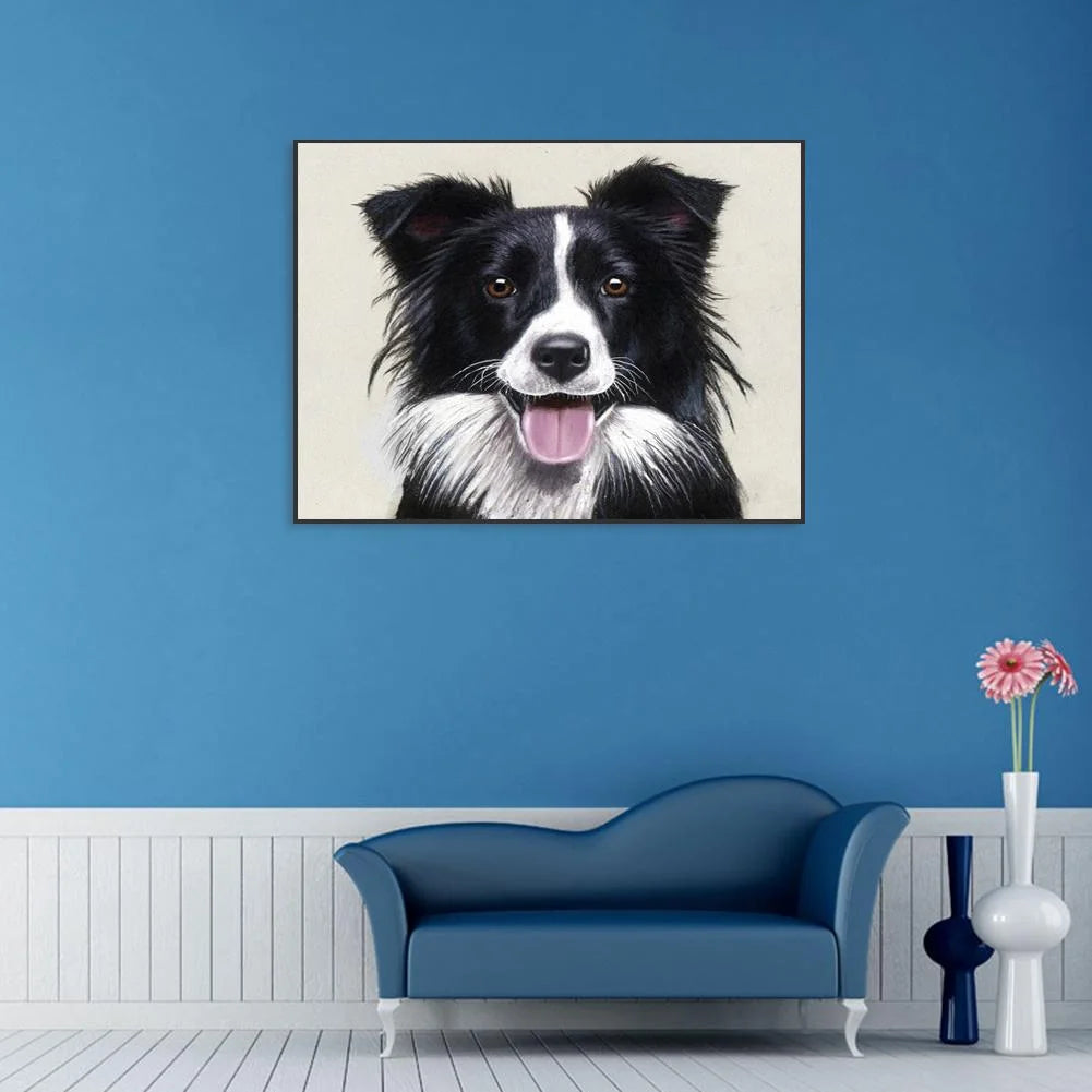 Black Dog Border Collie | Diamond Painting