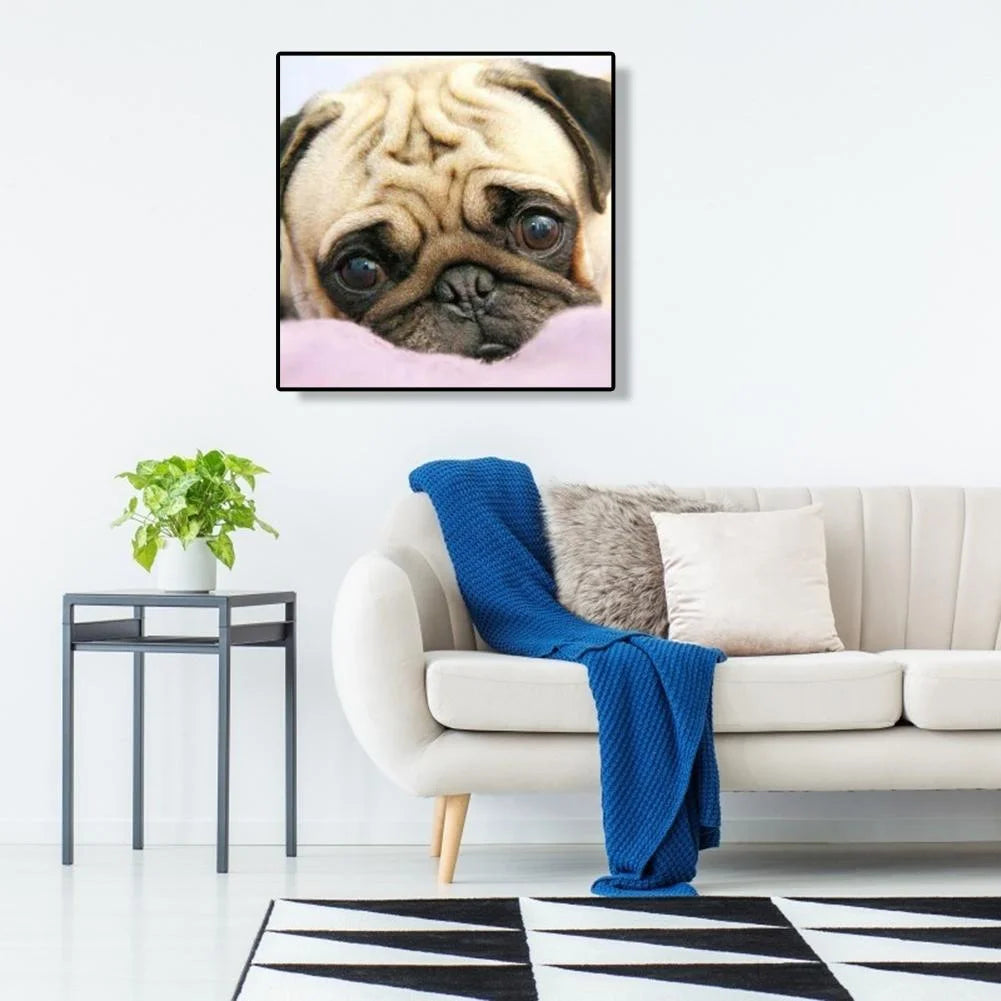 Big Eye Dog Pug | Diamond Painting