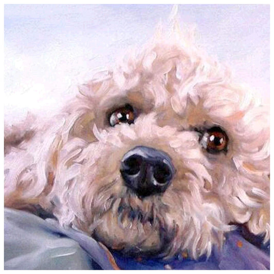 White Dog Cockapoo | Diamond Painting