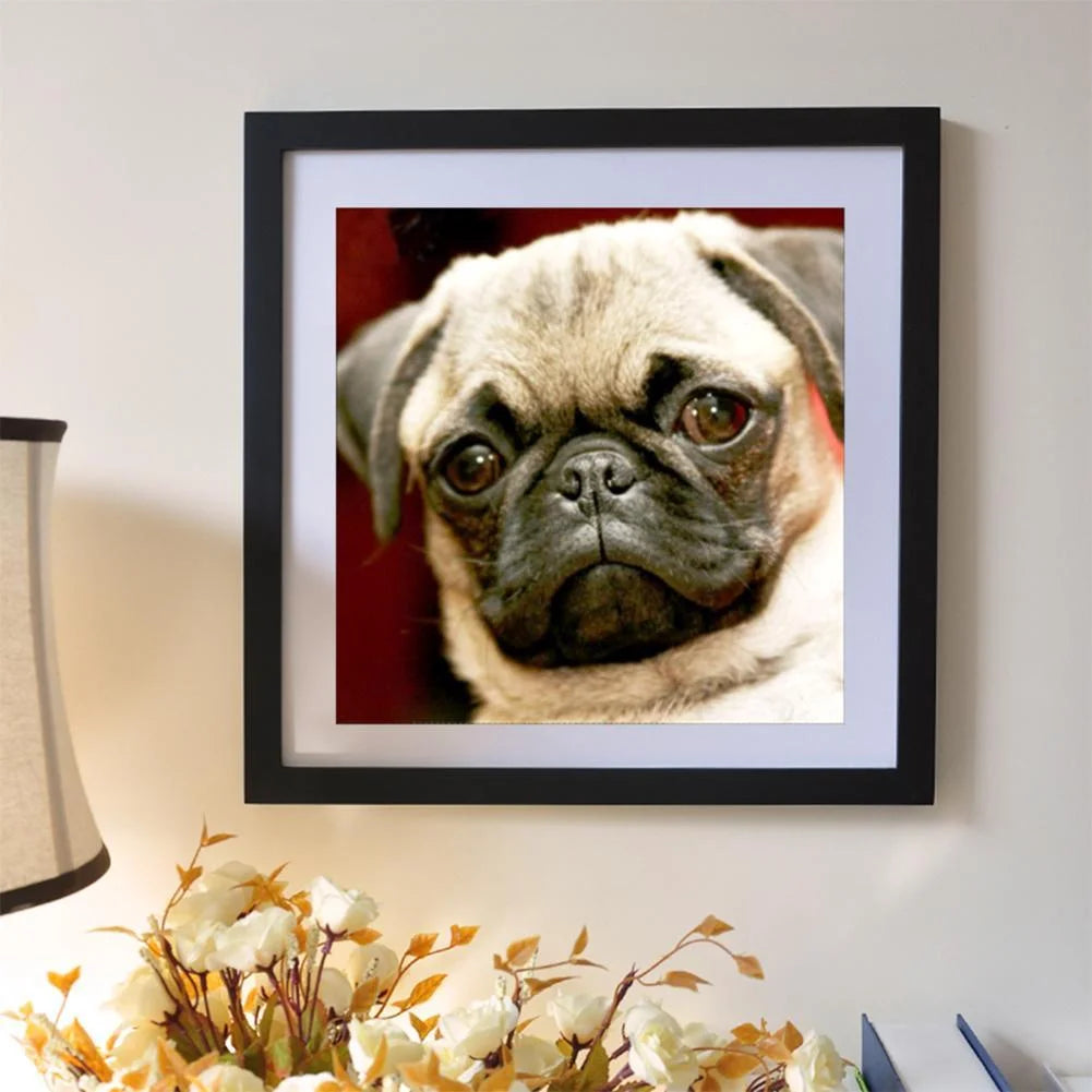 Angry Dog Pug | Diamond Painting