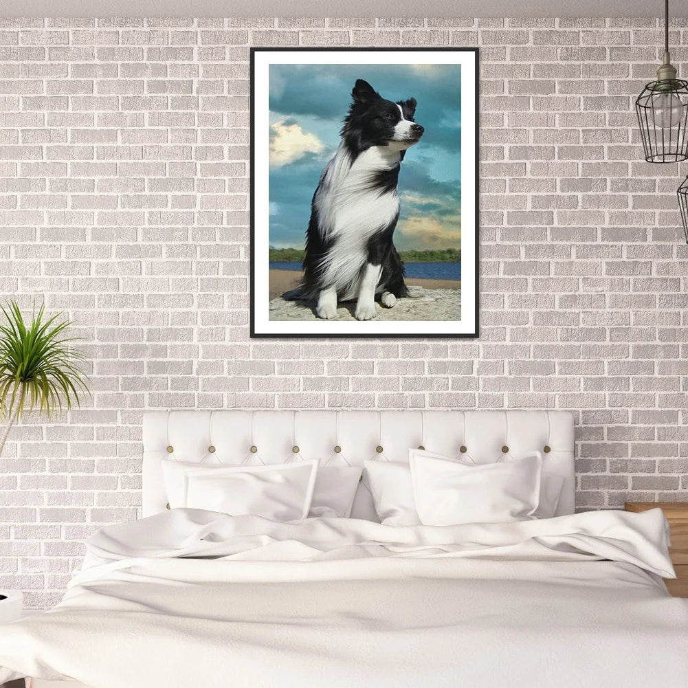 Dog Border Collie | Diamond Painting