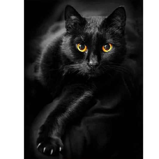 Black Midnight Cat | Diamond Painting