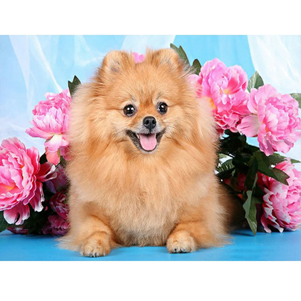 Flower Dog Pomeranian | Diamond Painting