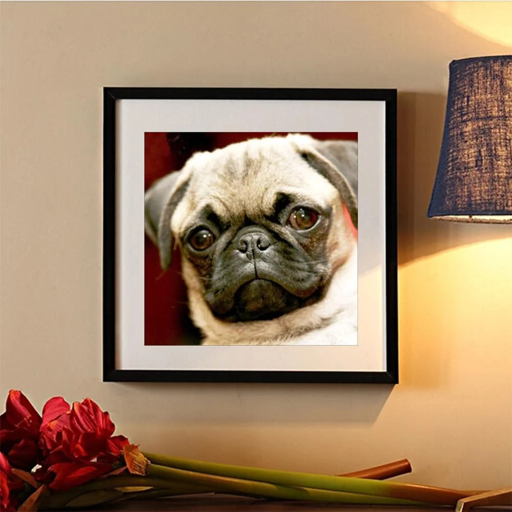 Angry Dog Pug | Diamond Painting