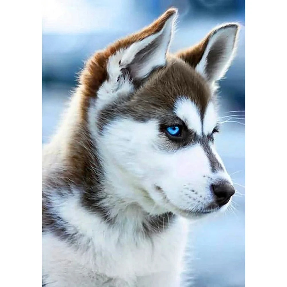 White Dog Husky | Diamond Painting