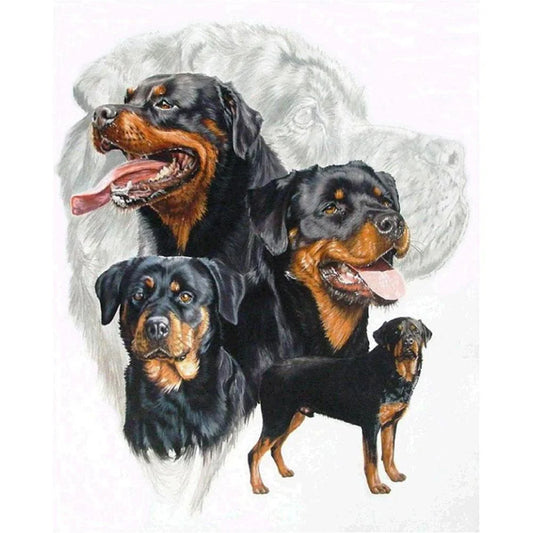 Black Dog Rottweiler | Diamond Painting