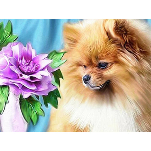 Flower Dog Pomeranian | Diamond Painting