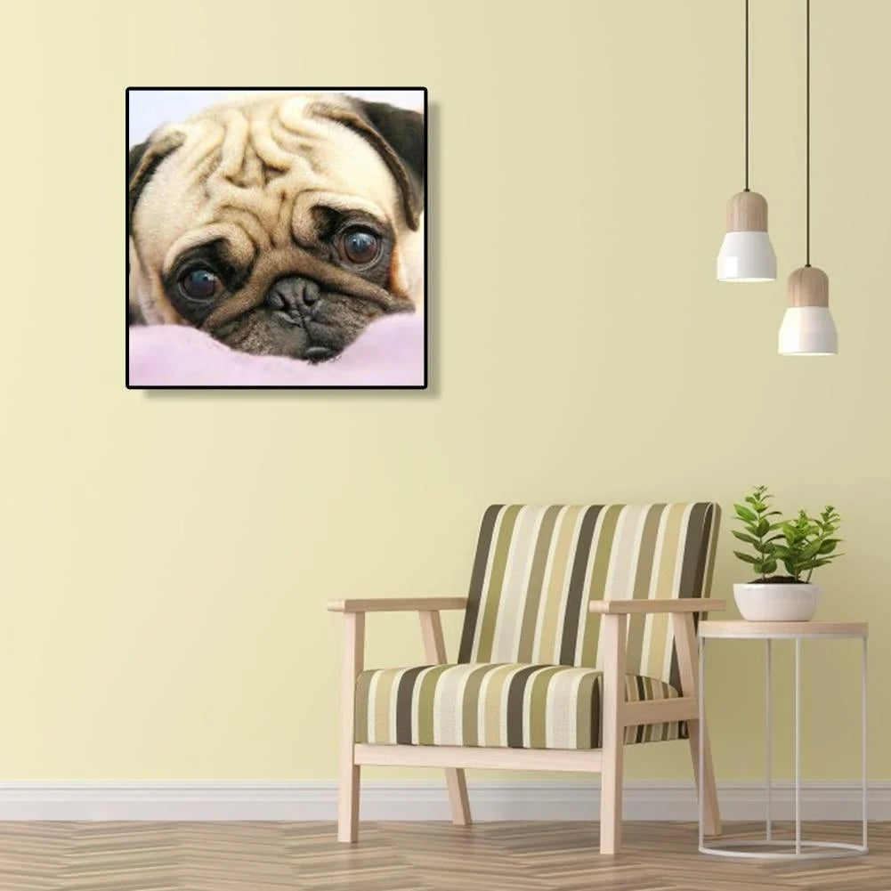 Big Eye Dog Pug | Diamond Painting