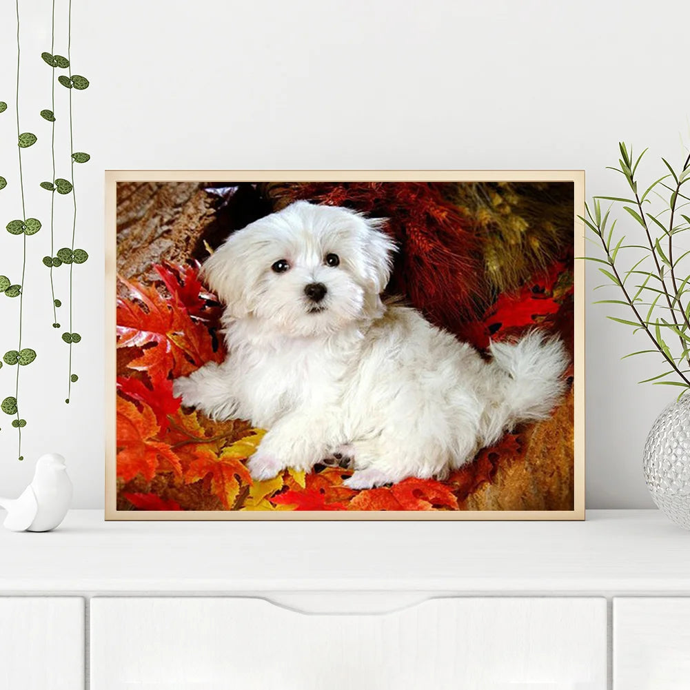 Cute Dog Shih Tzu | Diamond Painting