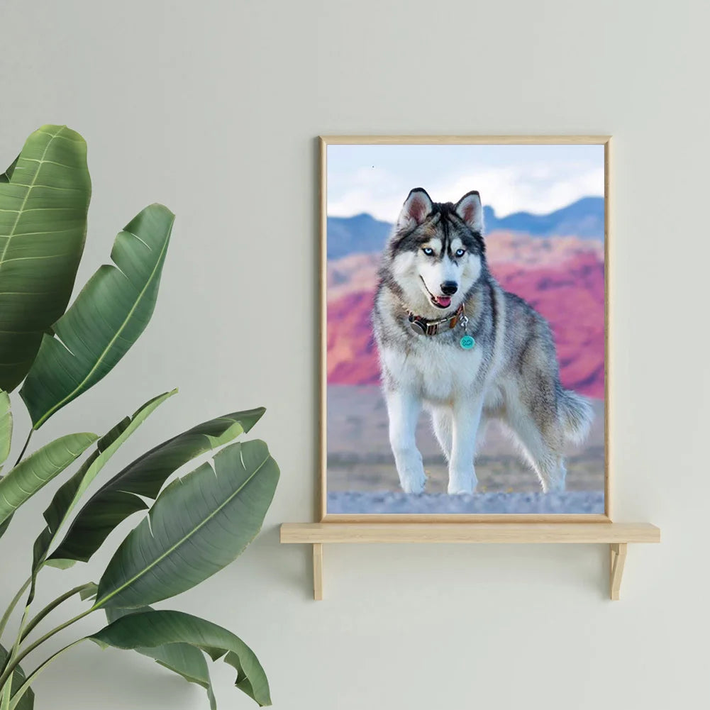 Animal Dog Husky | Diamond Painting