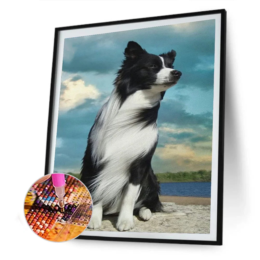 Dog Border Collie | Diamond Painting