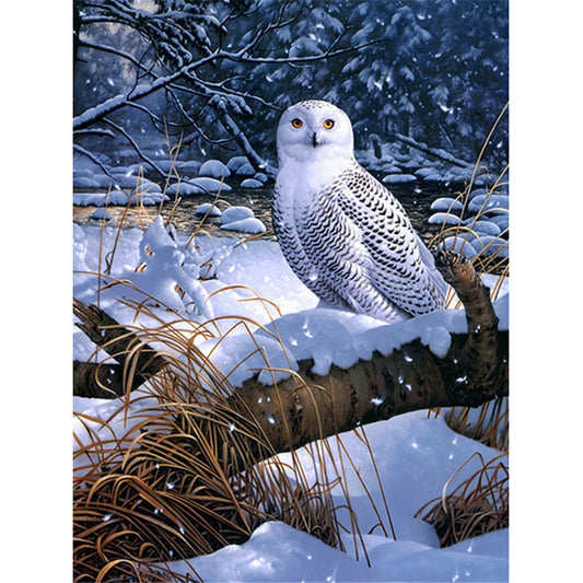 White Owl | Diamond Painting