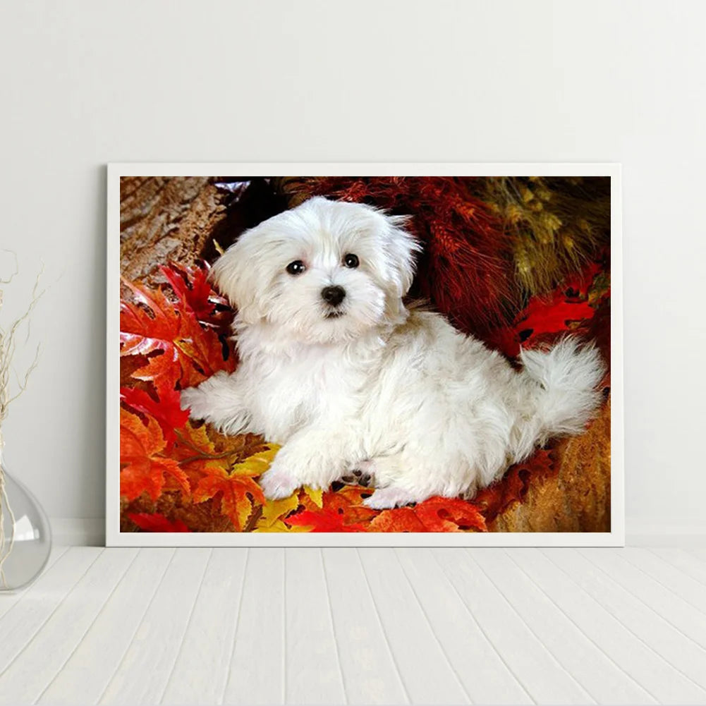 Cute Dog Shih Tzu | Diamond Painting