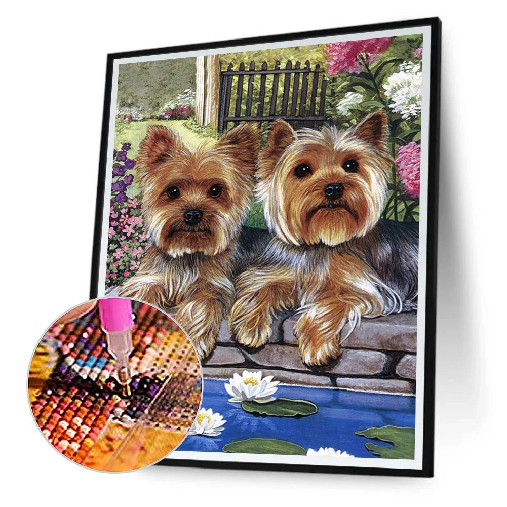 Two Dogs Yorkie | Diamond Painting