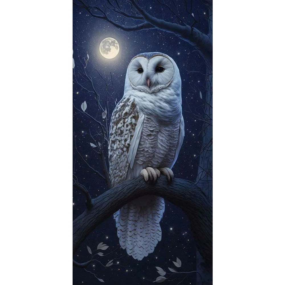 Owl | Diamond Painting