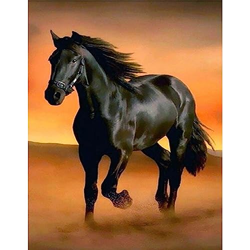 Horse | Diamond Painting