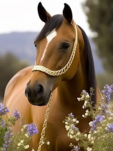 Horse | Diamond Painting