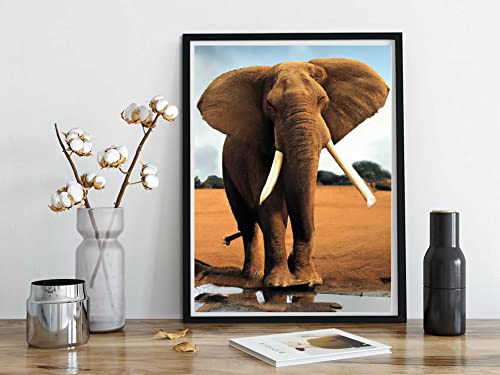 Elephant | Diamond Painting