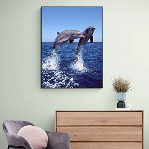 Dolphin | Diamond Painting