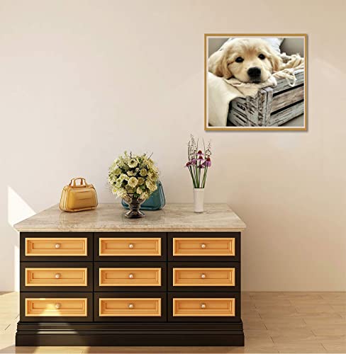 Dog Golden Retriever | Diamond Painting