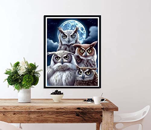 Owl | Diamond Painting