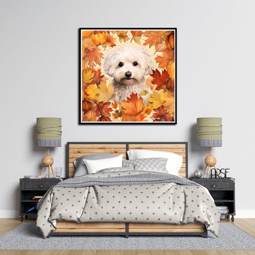 Dog Shih Tzu | Diamond Painting