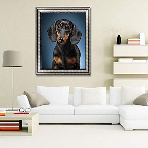 Dog Dachshund | Diamond Painting