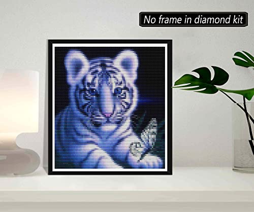 White Tiger Blue Eyes | Diamond Painting