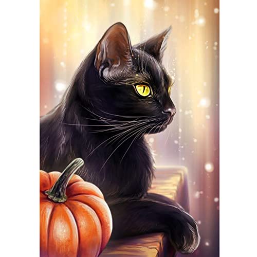 Black Cat | Diamond Painting