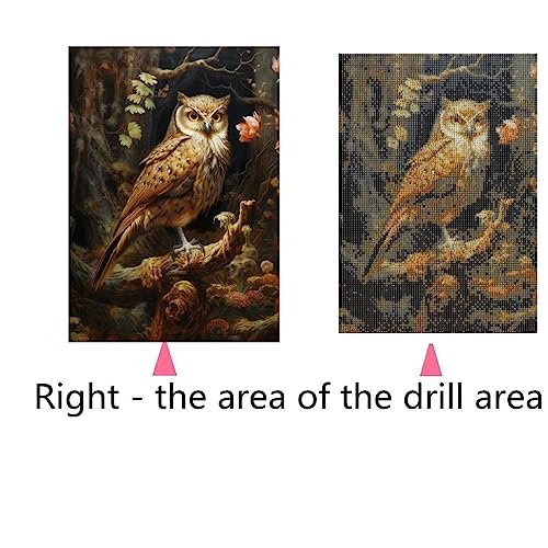 Owl | Diamond Painting