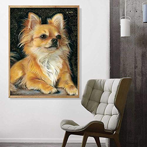 Dog Chihuahua | Diamond Painting