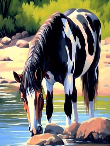 Horse | Diamond Painting