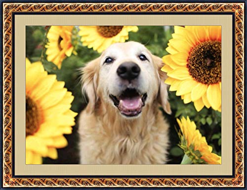 Golden Retriever Dog | Diamond Painting