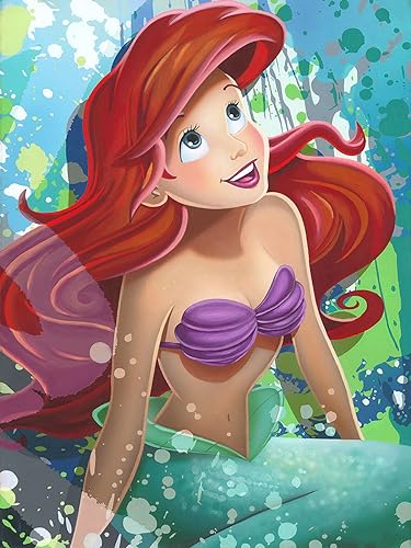 Cartoon Princess | Diamond Painting