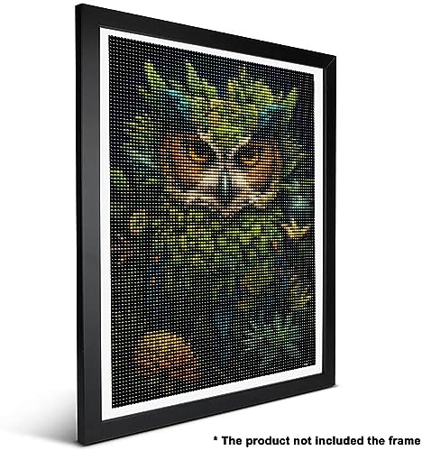 Owl | Diamond Painting