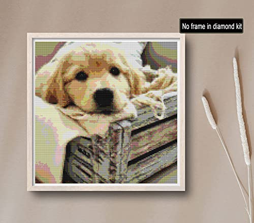 Dog Golden Retriever | Diamond Painting