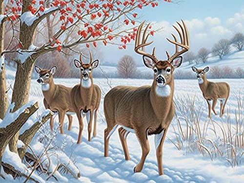Snow Deer | Diamond Painting