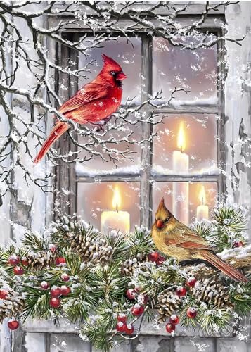 Snow Red Bird Christmas | Diamond Painting