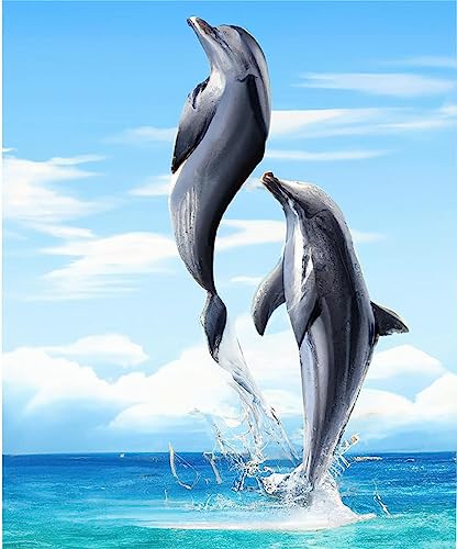 Dolphin | Diamond Painting