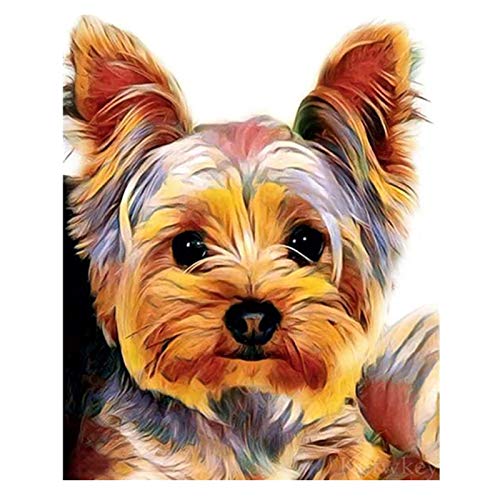 Dog Yorkie | Diamond Painting