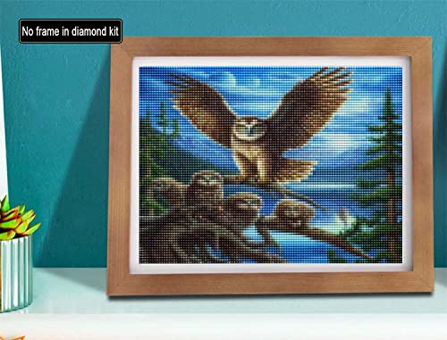 Owl | Diamond Painting