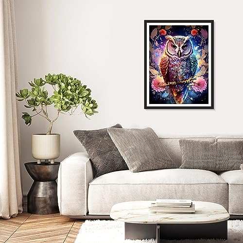 Owl | Diamond Painting