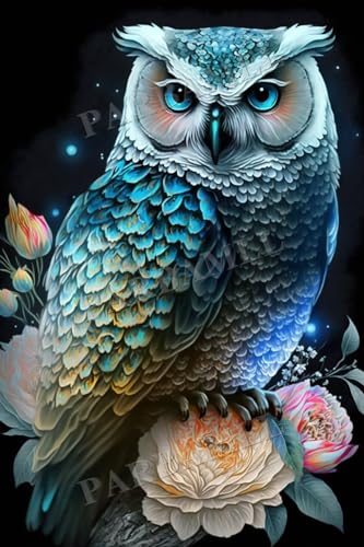 Owl | Diamond Painting